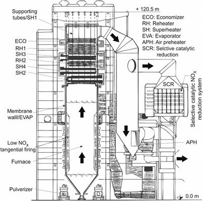 Design Optimization and Dynamic Simulation of Steam Cycle Power Plants: A Review